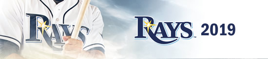 rays banner